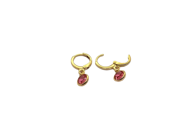 BRINCO ARGOLINHA COM PEDRA ROSA