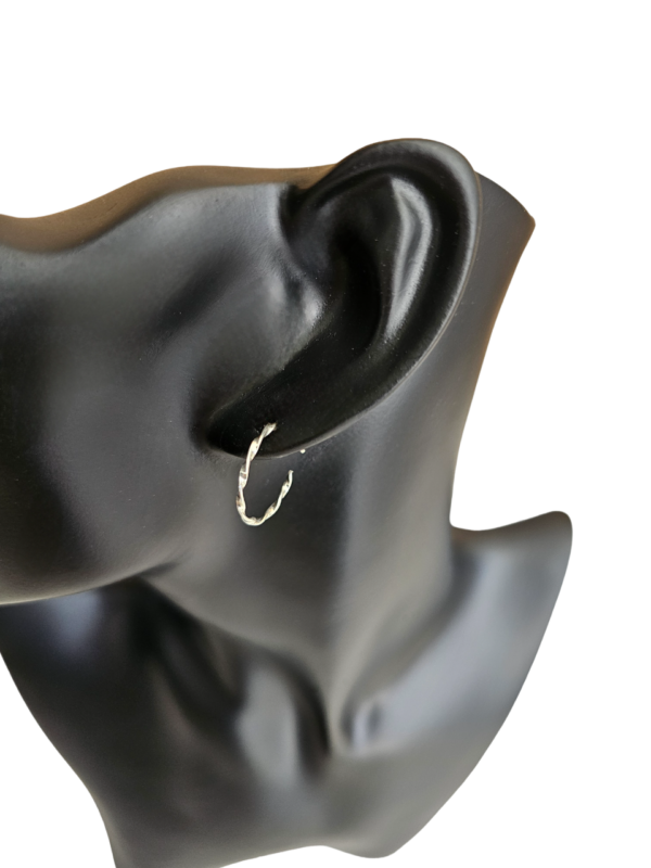 BRINCO ARGOLA TORCIDA